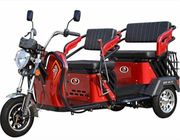Familien-Beifahrersitz-kleines Rad 30km/H 3 motorisierte Trike