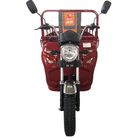 Rad 110cc 3 Trike-Moped des Pedal-1.0m*3.1m